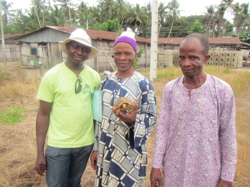 Boladji and Dunsin with the village chief holding an adult female Kinixys homeana in Nigeria