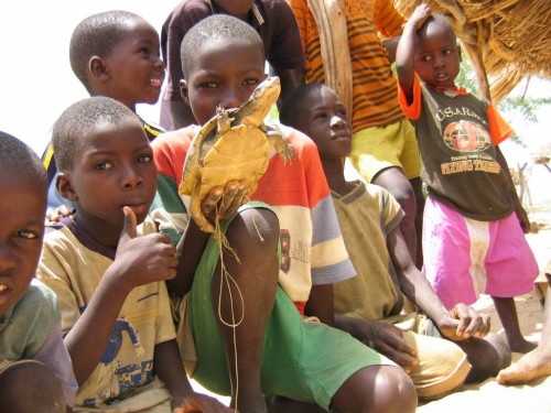 Young villagers holding a captive Adanson's Terrapin near Ndioura Village