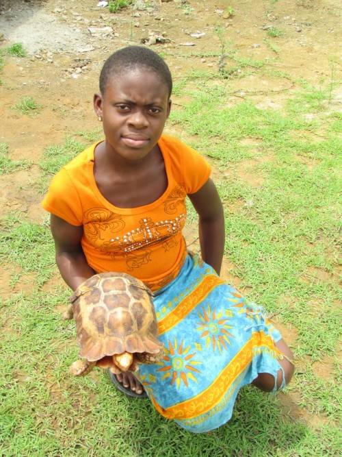 Girl Holding an adult male Kinixys erosa in Nigeria