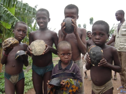 Kids hold remains of tortoise and turtle shells near Lokoli Forest, Benin