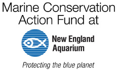 Marine Conservation Action Fund at New England Aquarium