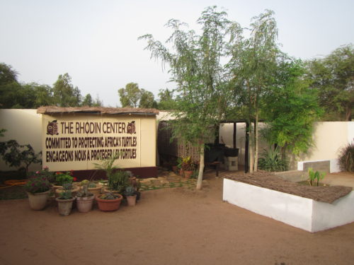 Inside view of the Rhodin Center - Ngaparou- Senegal