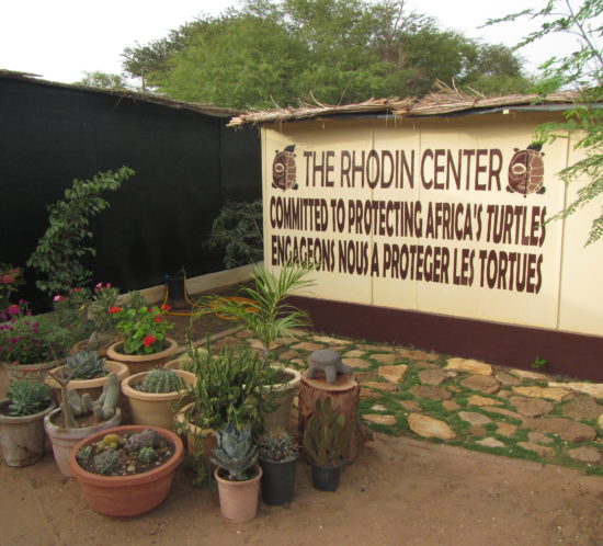 Inside view of the Rhodin Center - Ngaparou- Senegal
